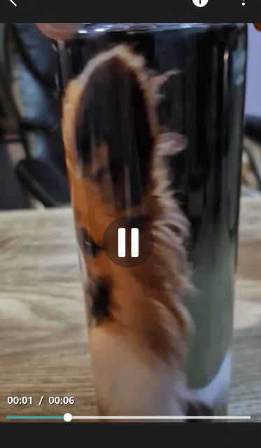 Pet Tumbler